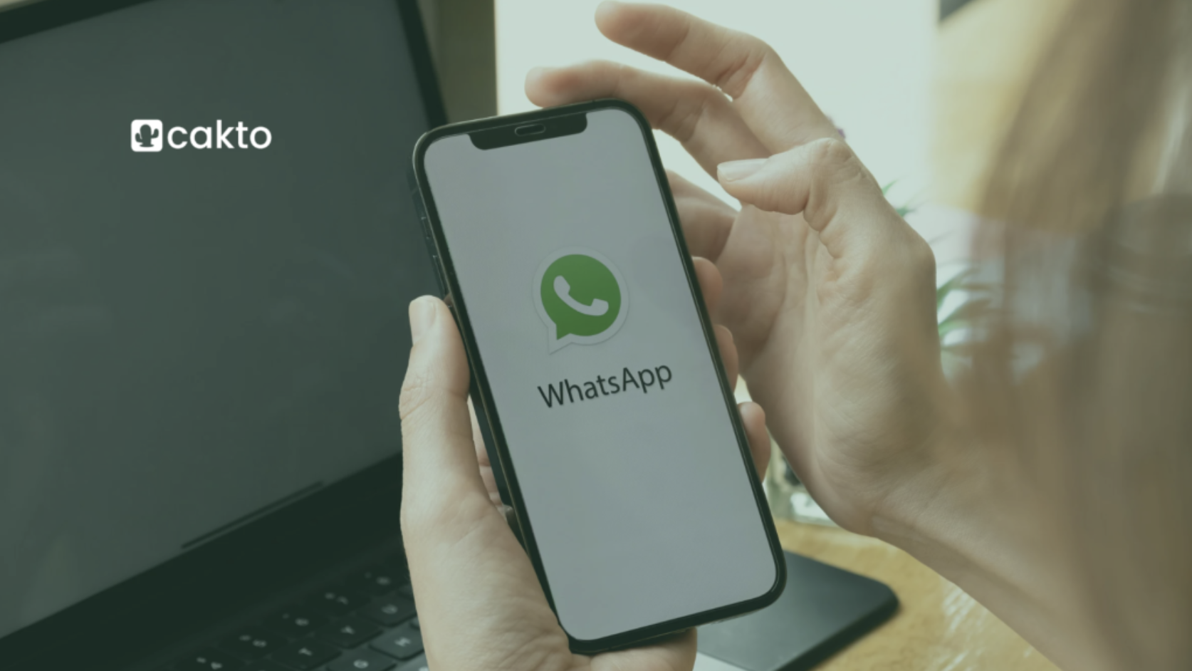 Automação de whatsApp